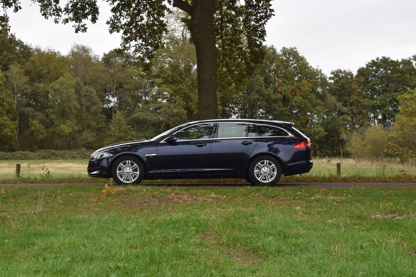 Jaguar XF Sportbrake - 2.2D Premium Business Edition Dark Sapphire Blue – 142.686km – Y2014 - AutoWereld.nl