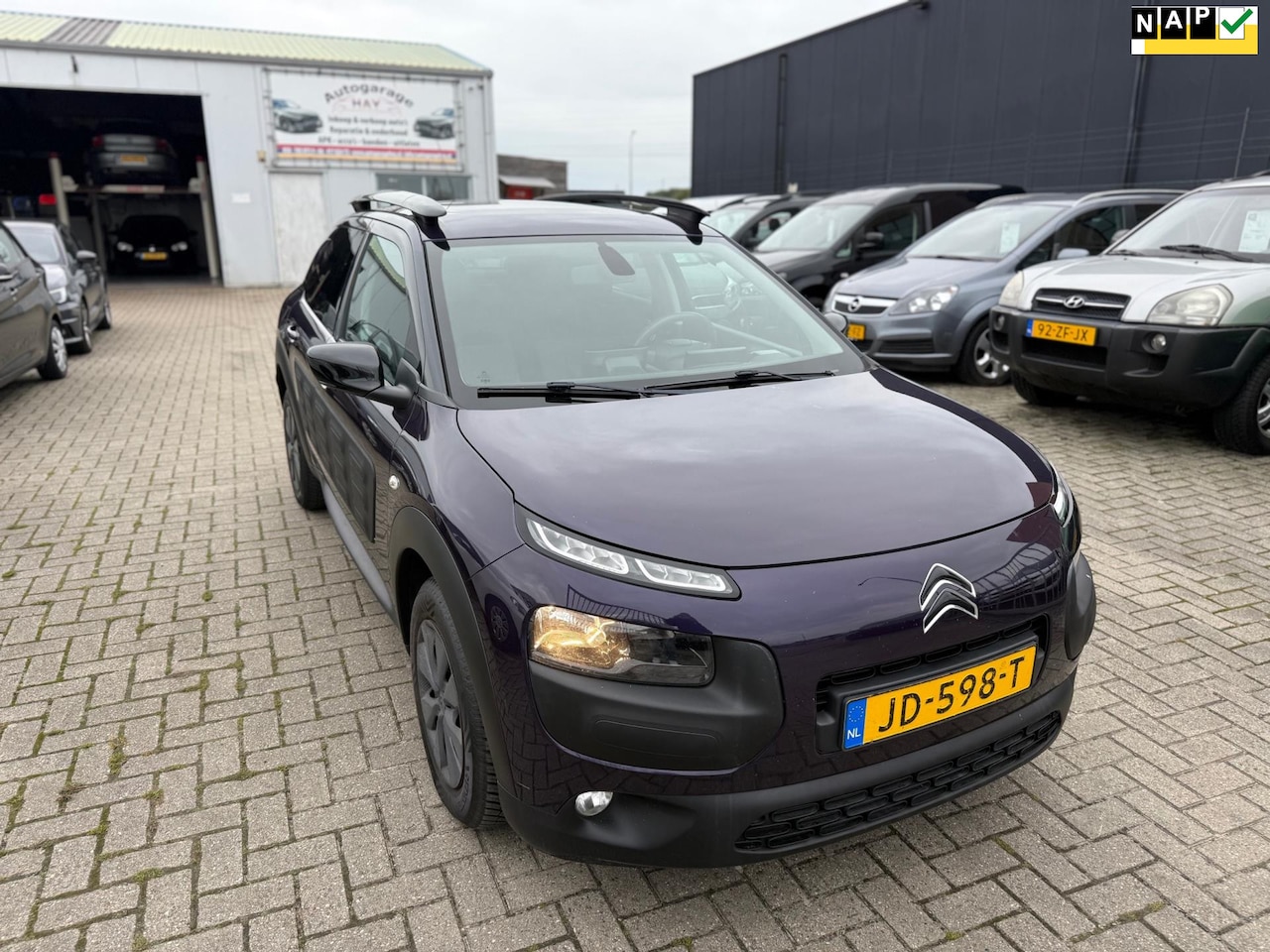 Citroën C4 Cactus - 1.6 BlueHDi Shine 1.6 BlueHDi Shine - AutoWereld.nl