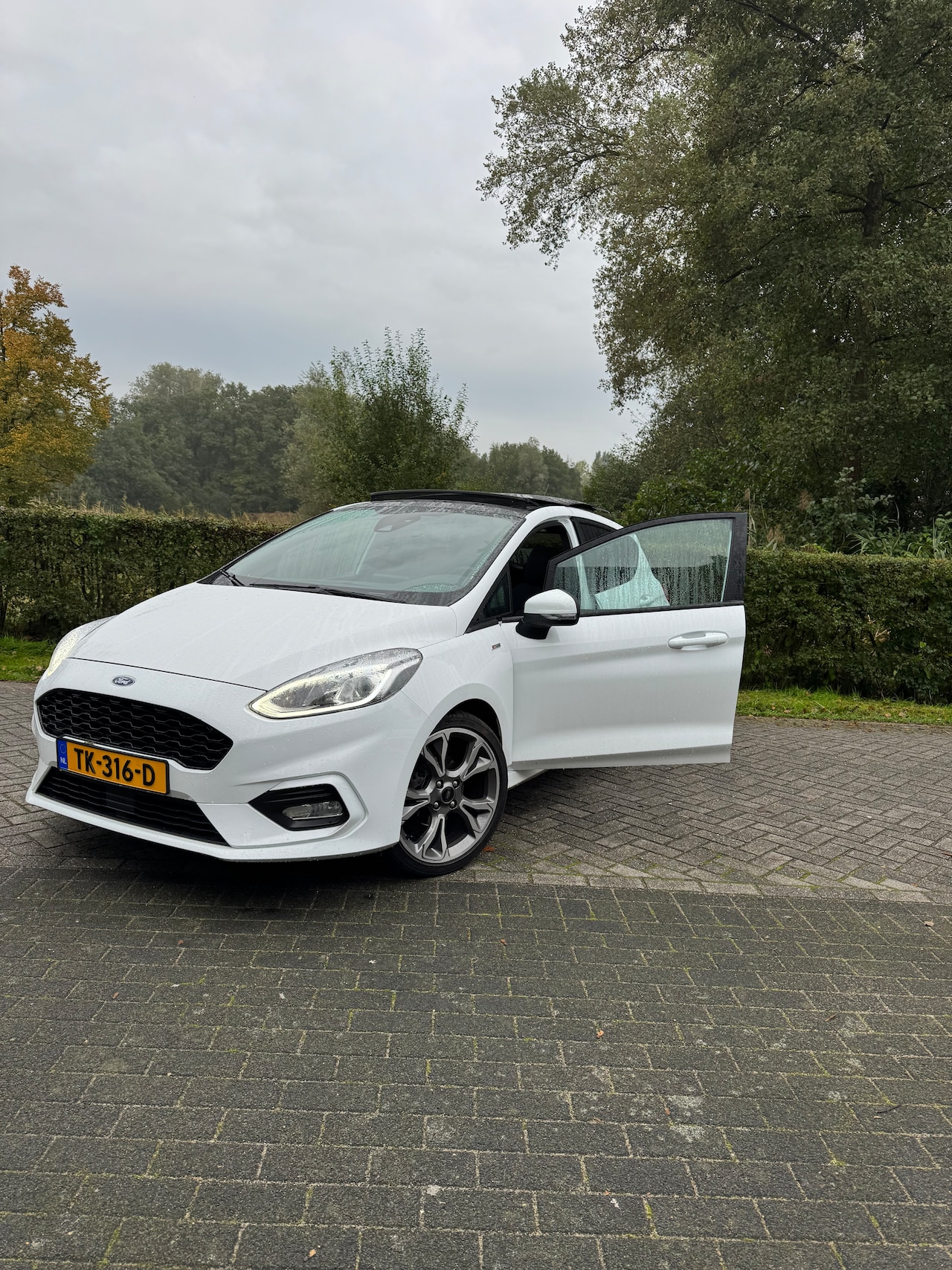 Ford Fiesta - 1.0 EcoBoost ST-Line PANO|KEYLESS|CARPLAY|DEALER ONDERHOUDEN - AutoWereld.nl