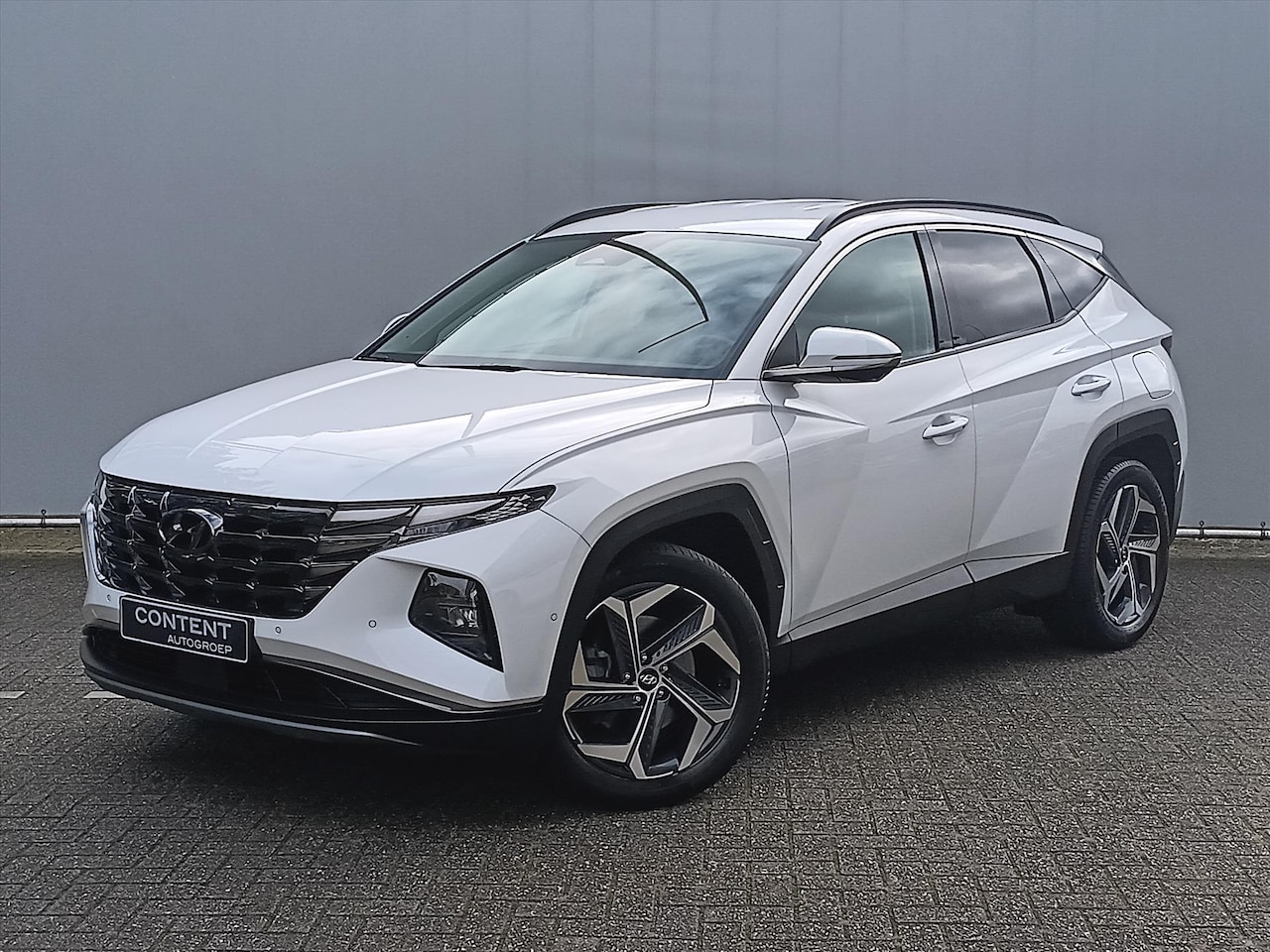 Hyundai Tucson - 1.6 T-GDi HEV 230pk Aut. Premium |Leder |Direct Rijden! - AutoWereld.nl