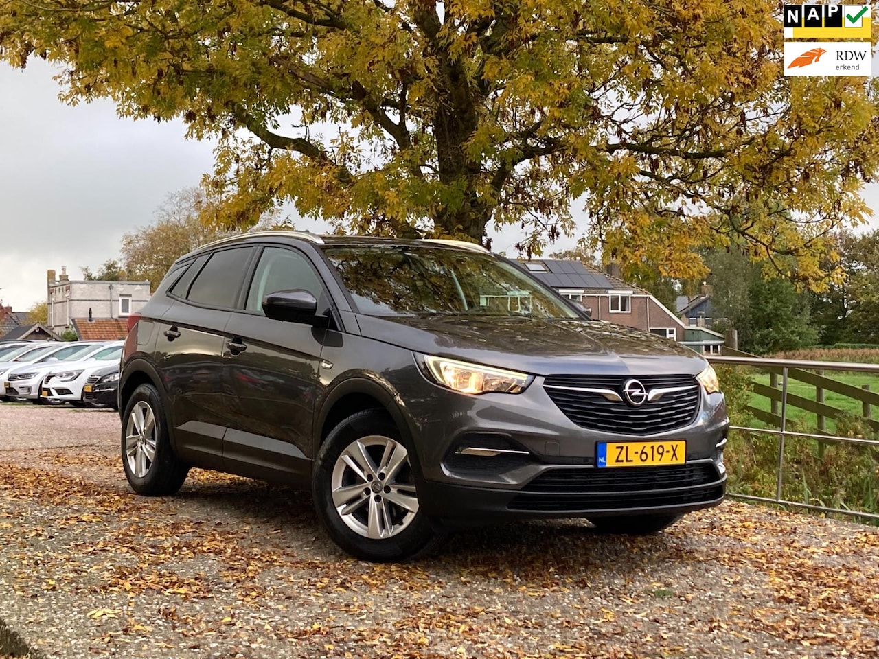 Opel Grandland X - 1.2 Turbo Business + | NAP | Leder + Lane assist + Navi + Clima nu €12.750,-!! - AutoWereld.nl