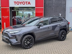 Toyota RAV4 - 2.5 Hybrid Bi-Tone 4-SEASONS JBL-AUDIO 360-CAMERA ELEK. BEST. STOEL EN ACHTERKLEP DODEHOEK