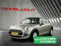 MINI One - 1.5 Salt Edition Voorruitverwarming/DAB/15'LMV/Bluetooth