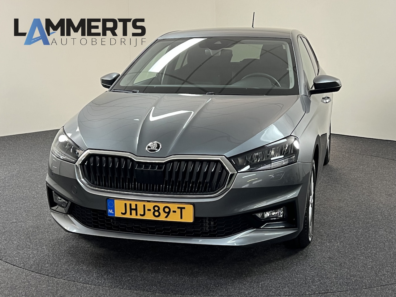 Skoda Fabia - 1.0 TSI Selection 116 PK DSG Stoel & stuurverw. / Navi / App connect / PDC / Adapt. cruise - AutoWereld.nl