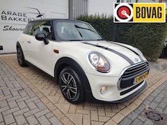 MINI One - 1.5 Salt Bi-Tone 6-Bak