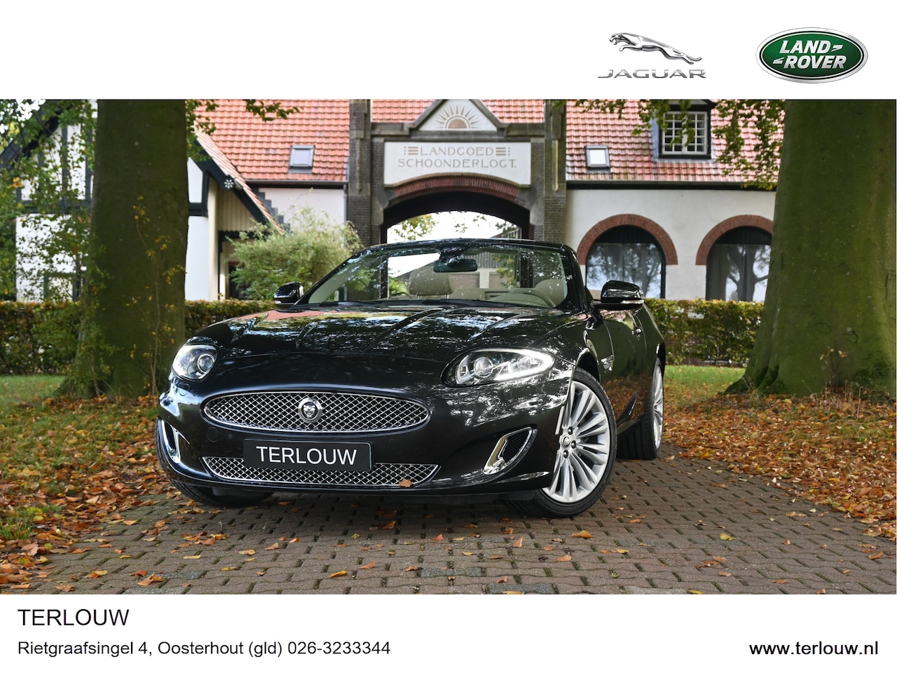 Jaguar XK - 5.0 V8 Convertible 5.0 V8 Convertible - AutoWereld.nl