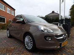 Opel ADAM - 1.4 ECOFLEX In bumper geïntegreerde fietsendrager