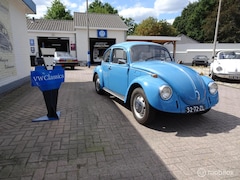 Volkswagen Kever - 1300 in goede staat