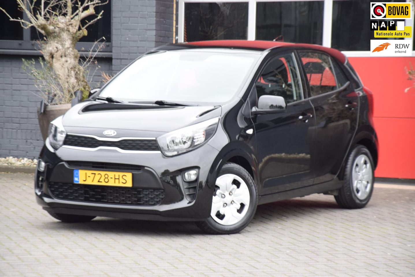 Kia Picanto - 1.0 MPi DynamicLine 2020 Navigatie Carplay Camera Airco - AutoWereld.nl