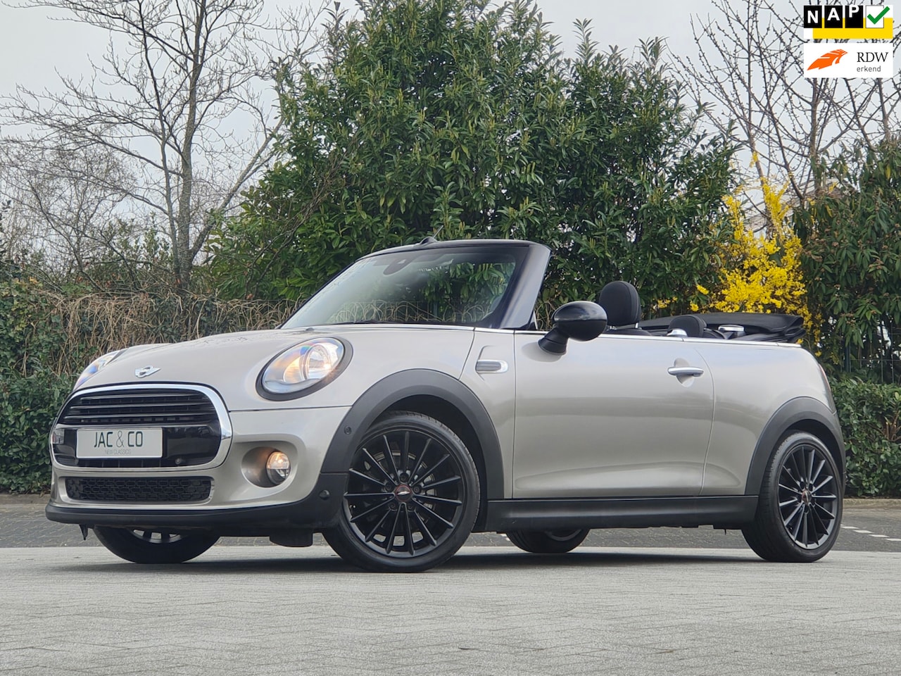 MINI Cabrio - 1.5 Cooper Pepper Business NAVI NAP 100% Dealer onderhouden - AutoWereld.nl
