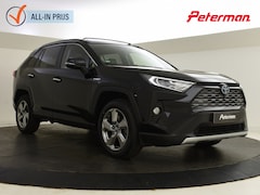 Toyota RAV4 - 2.5 Hybrid AWD Executive | Panoramadak | PDC V+A | Navigatie