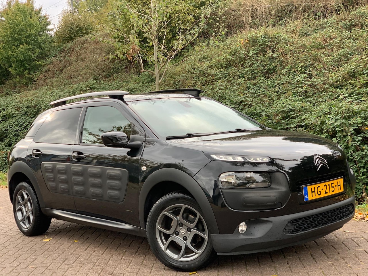 Citroën C4 Cactus - 1.2 PureTech Shine |CAM|LED|PDC|TOPSTAAT 104DKM! - AutoWereld.nl