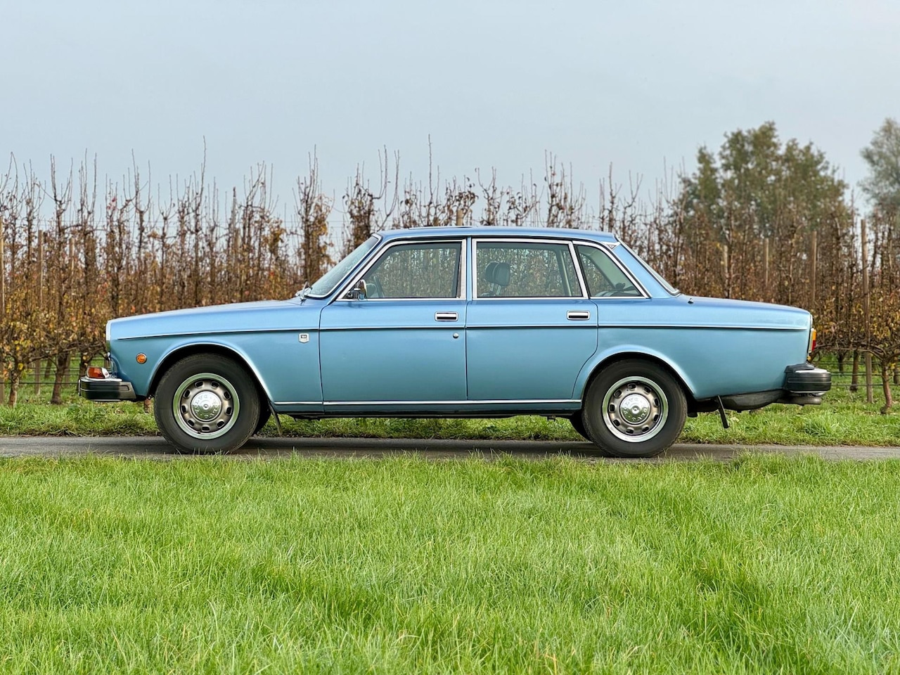 Volvo 164 - E Automaat E Automaat, Origineel NL, schuifdak, trekhaak, leder - AutoWereld.nl