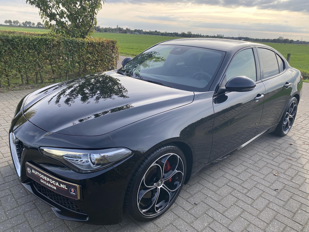 Alfa Romeo Giulia - 2.0 T Q2 LSD*Actieve schokdempers *Veloce interieur *300PK - AutoWereld.nl