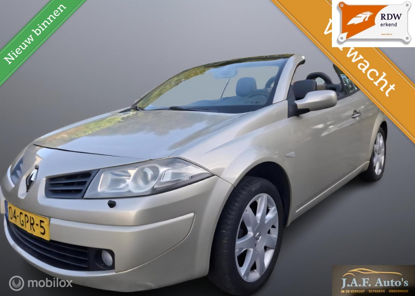 Renault Mégane coupé cabriolet - 2.0-16V Leder Mooie Auto! - AutoWereld.nl