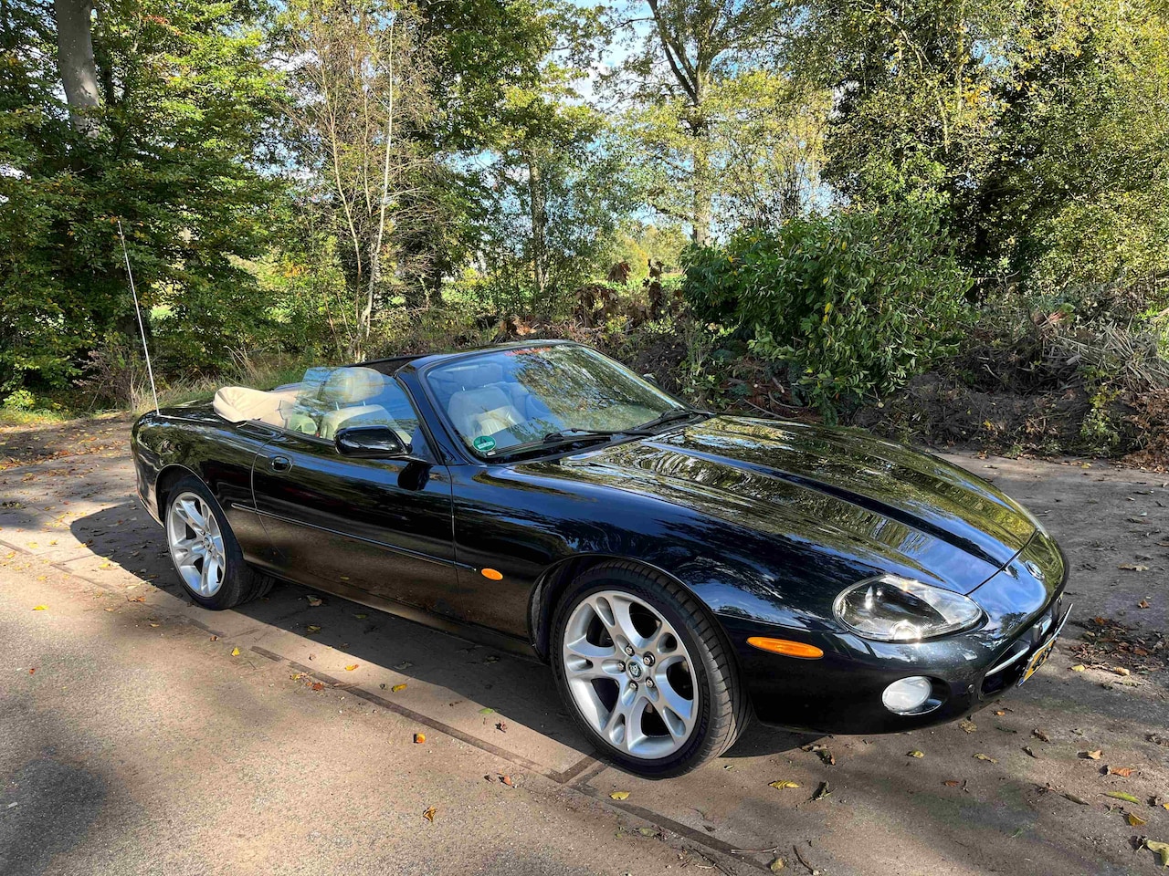 Jaguar XK8 - 4.2 V8 Convertible - AutoWereld.nl