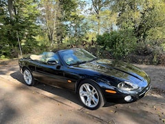 Jaguar XK8 - 4.2 V8 Convertible org. NL 103.000 km