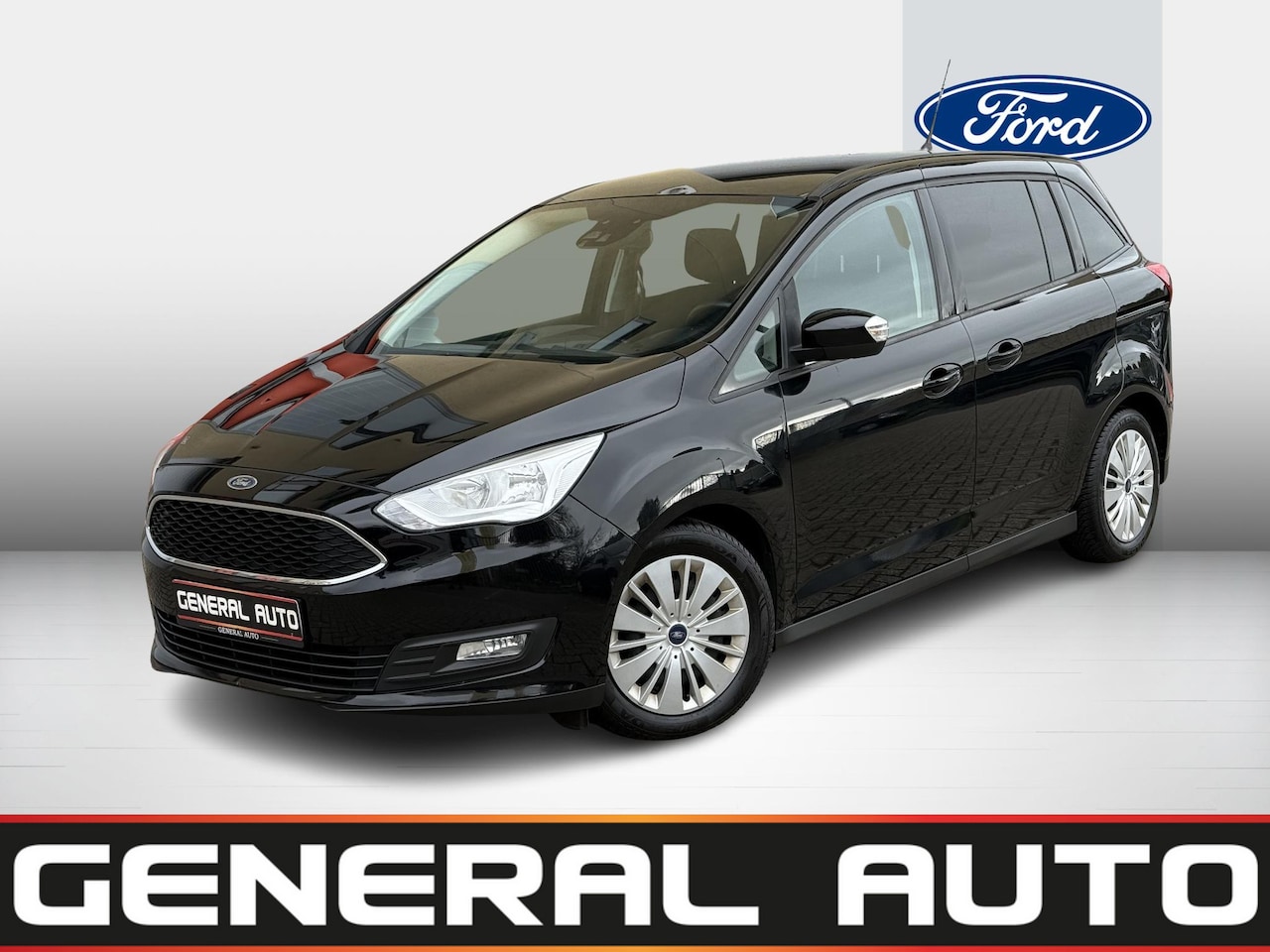 Ford Grand C-Max - 1.0 Titanium 1.0 Titanium, Navi, Nieuwe DistributieRiem - AutoWereld.nl