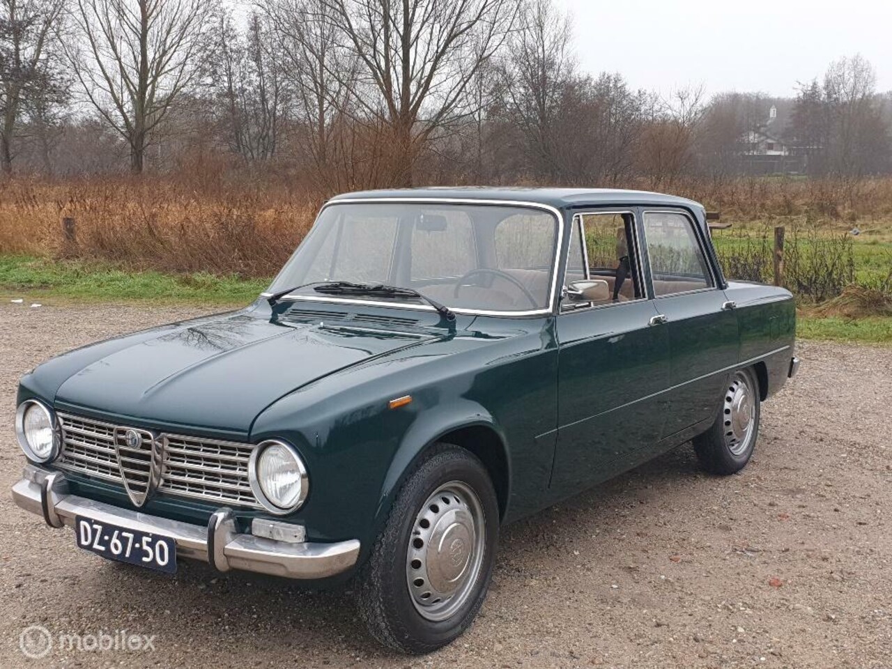 ALFA ROMEO GIULIA 1300