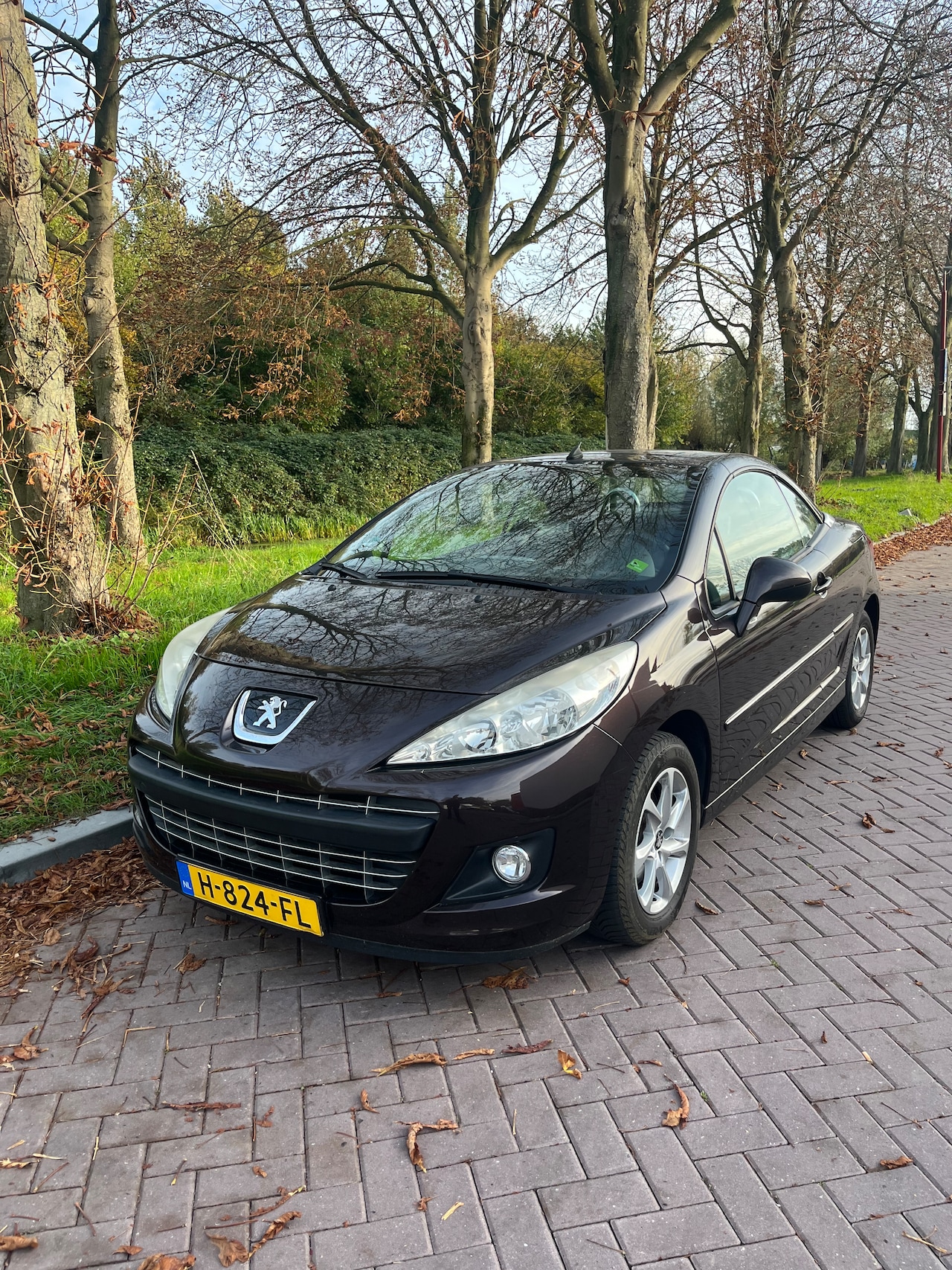 Peugeot 207 CC - 1.6 VTi - AutoWereld.nl
