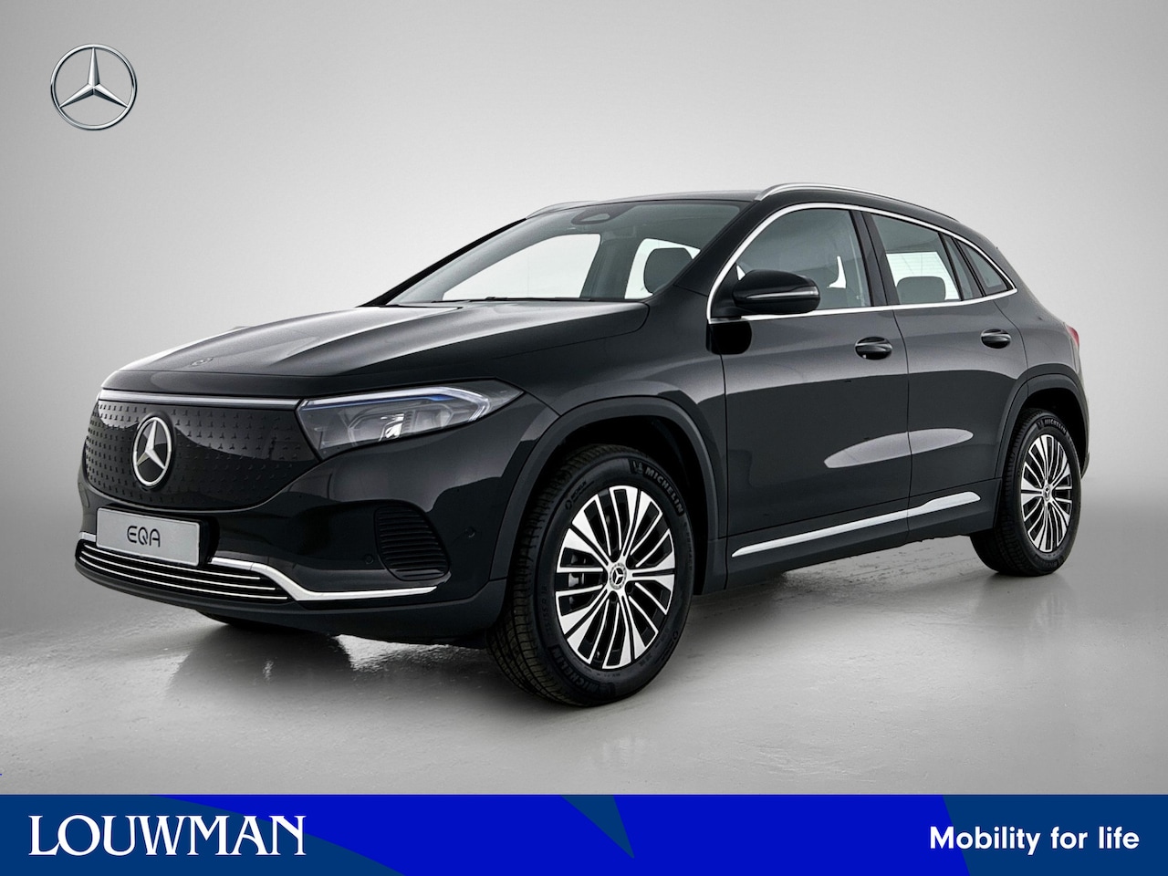 Mercedes-Benz EQA - 250+ Business Solution Luxury 71 kWh | Trekhaak | GUARD 360° Voertuigbescherming Plus | Pa - AutoWereld.nl