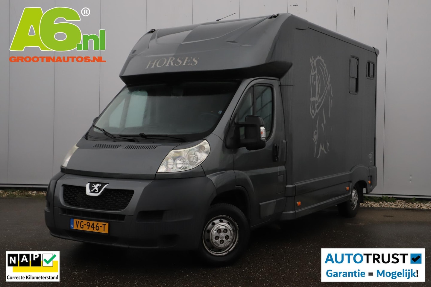 Peugeot Boxer - 335 2.2 HDI L4 Paardenwagen 131PK B Rijbewijs 2 Paards Paardentruck Super Compleet Top ond - AutoWereld.nl