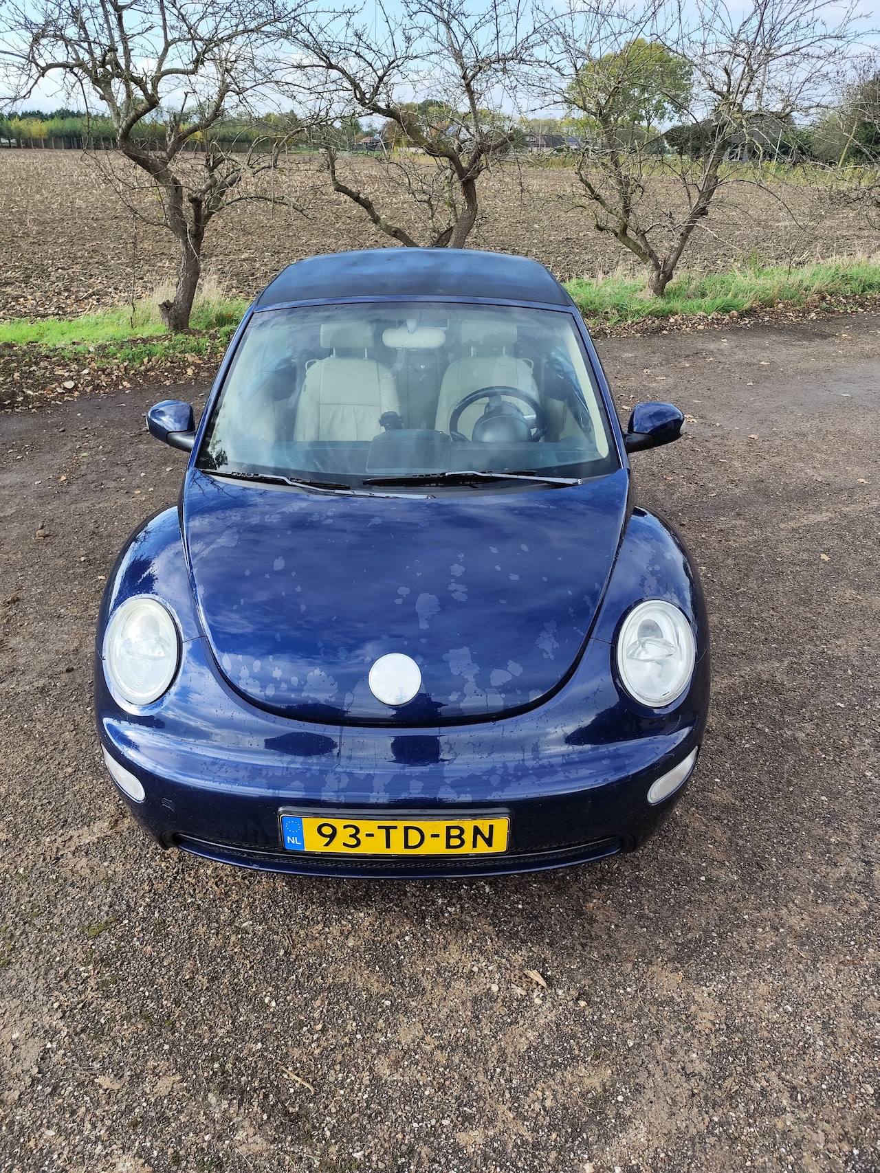 Volkswagen New Beetle Cabriolet - 2.0 Highline - AutoWereld.nl