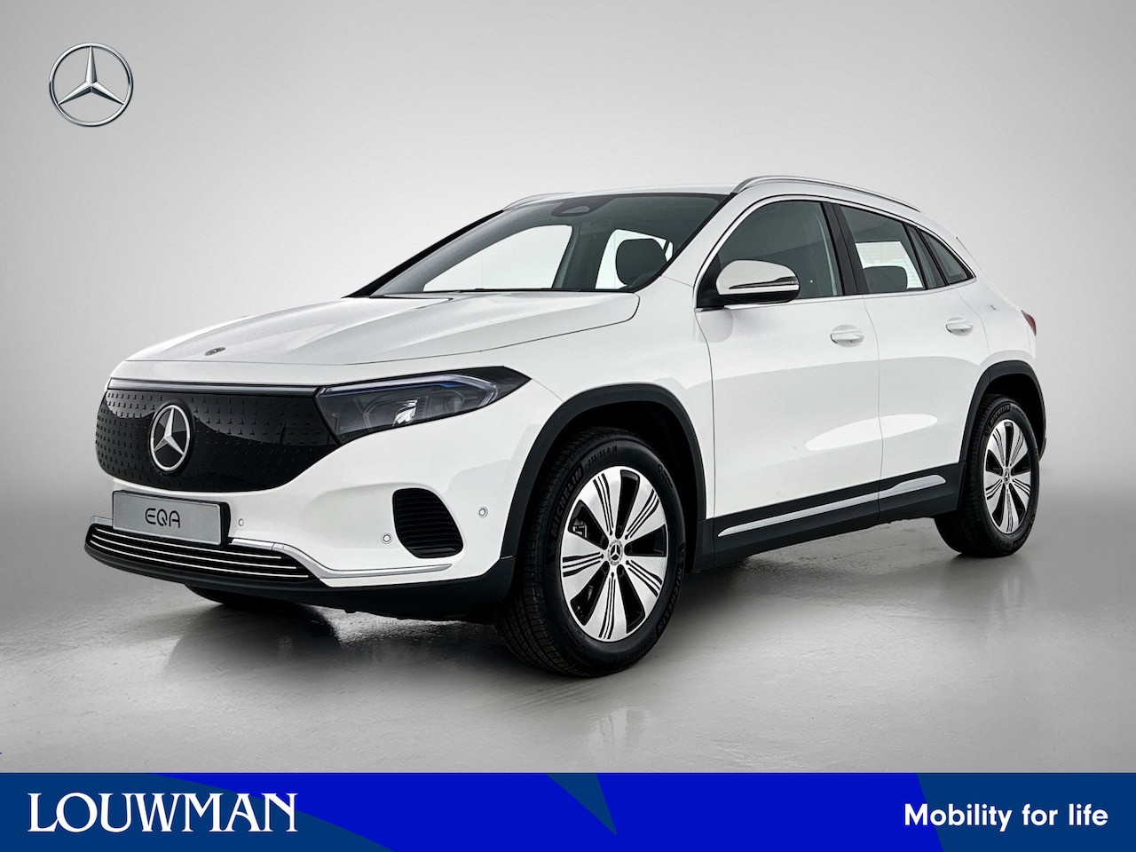 Mercedes-Benz EQA - 250+ Business Solution 71 kWh | Parkeerpakket met achteruitrijcamera | Widescreen display - AutoWereld.nl