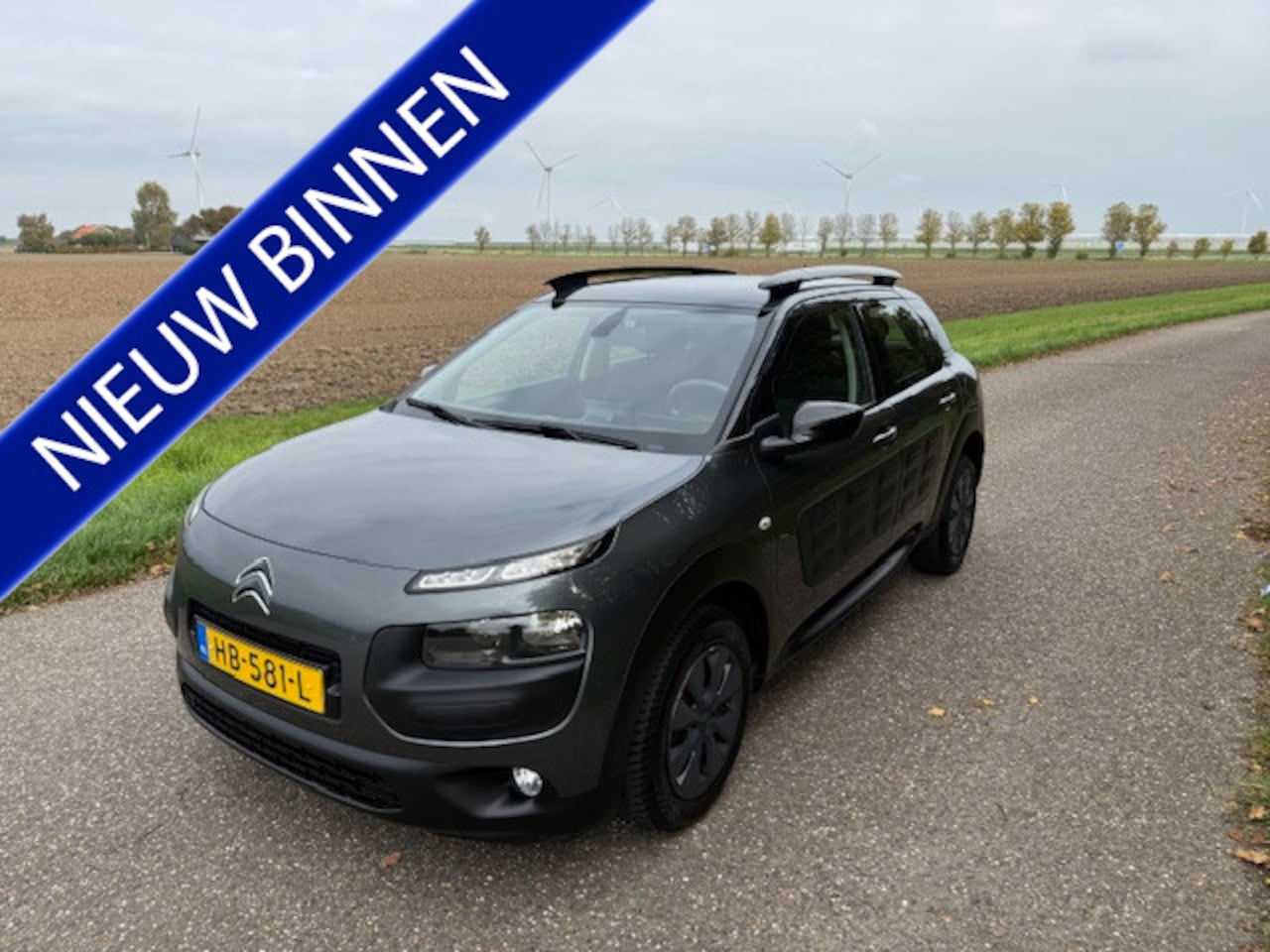 Citroën C4 Cactus - 1.6 BlueHDi Business 1.6 BlueHDi Business - AutoWereld.nl