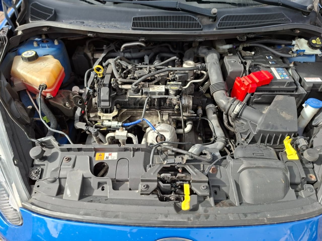 Ford Fiesta - 1.0 Champion RADIO CD/AIRCO/ELEC RAMEN V+A/PDC/STOELVERW/LMV