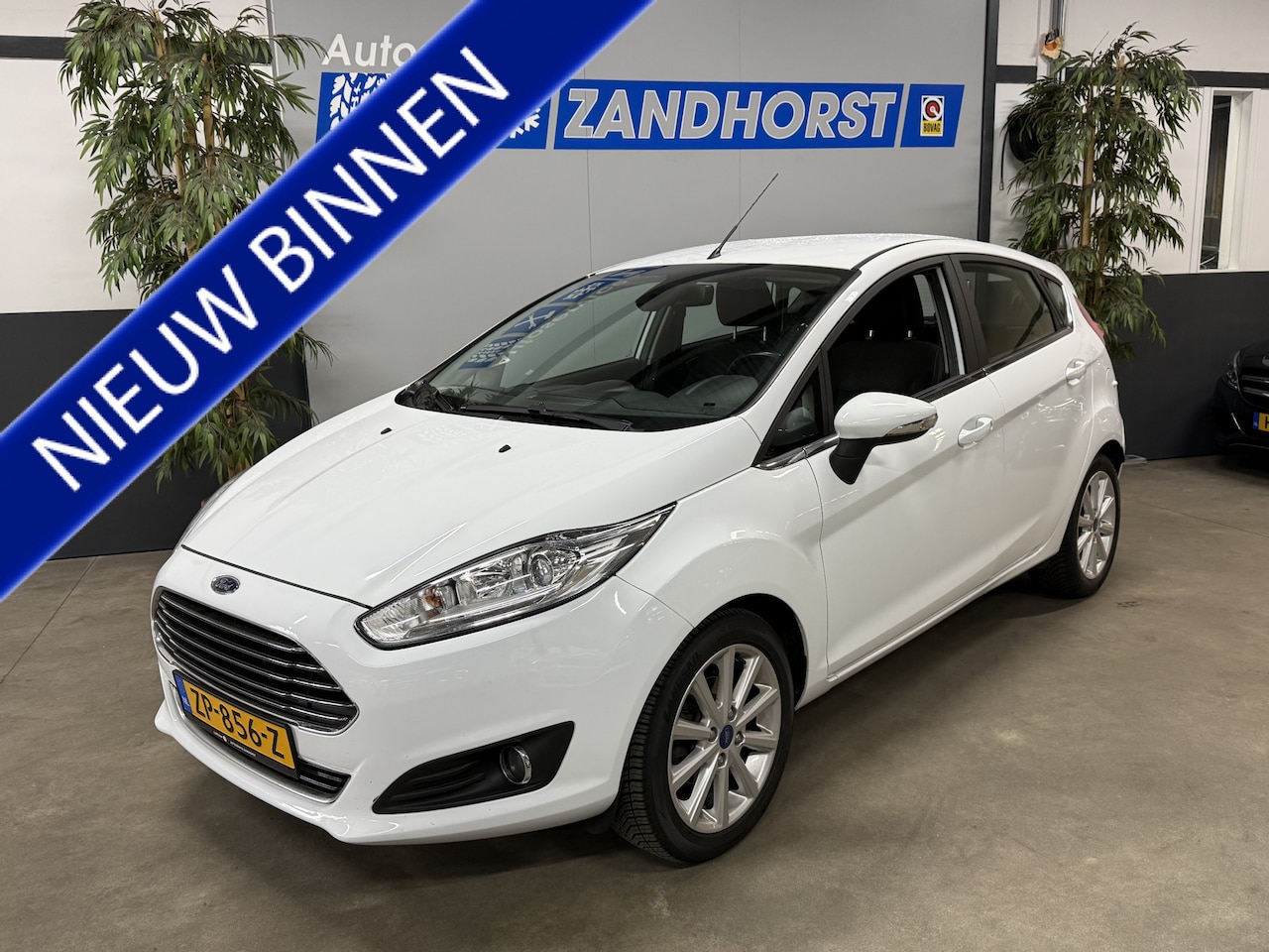 Ford Fiesta - 1.0 EcoBoost Titanium 1.0 EcoBoost Titanium - AutoWereld.nl