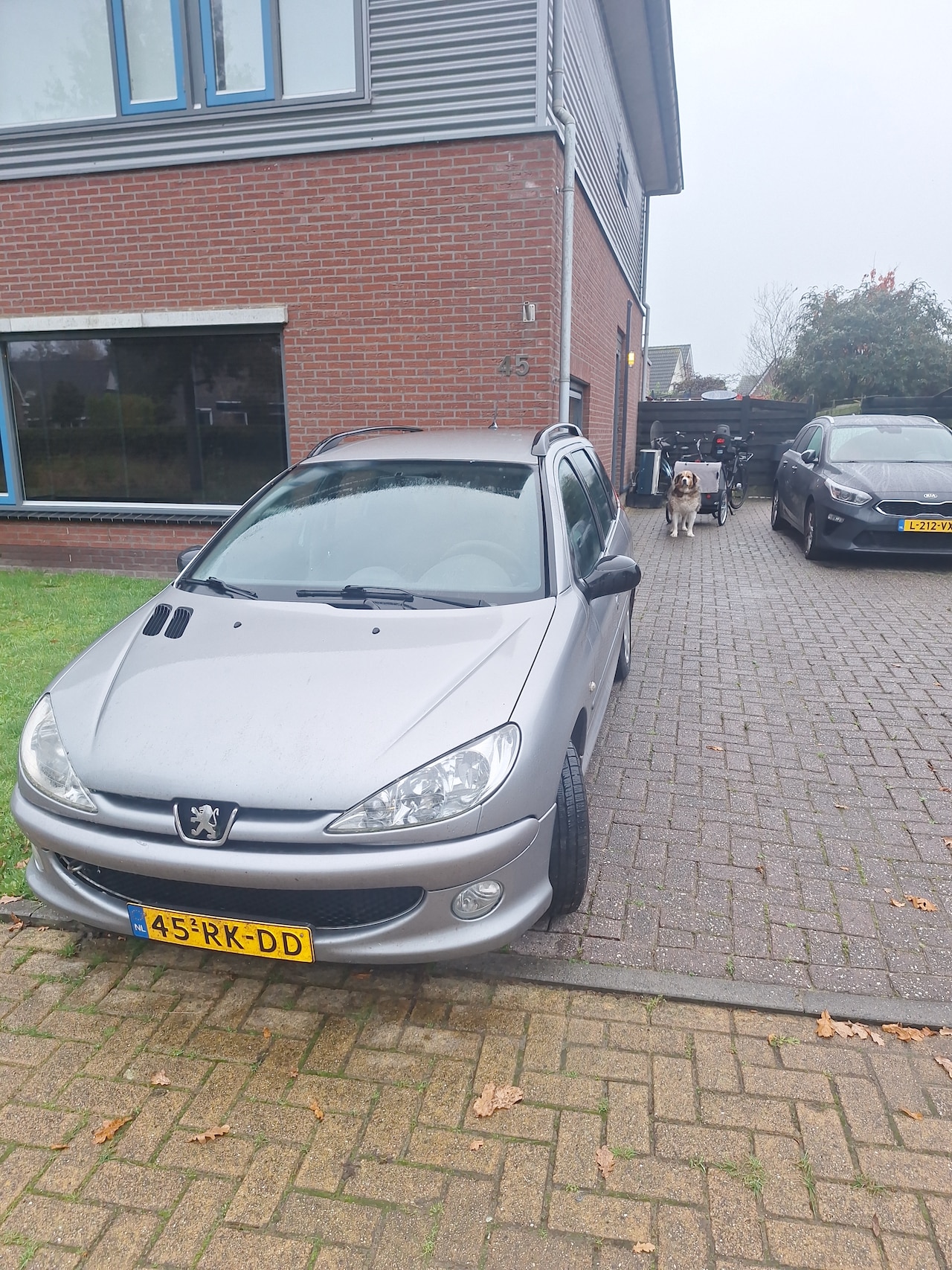 Peugeot 206 SW - 1.4 Air-line 2 - AutoWereld.nl