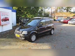 Fiat Panda - 1.2 Edizione Cool