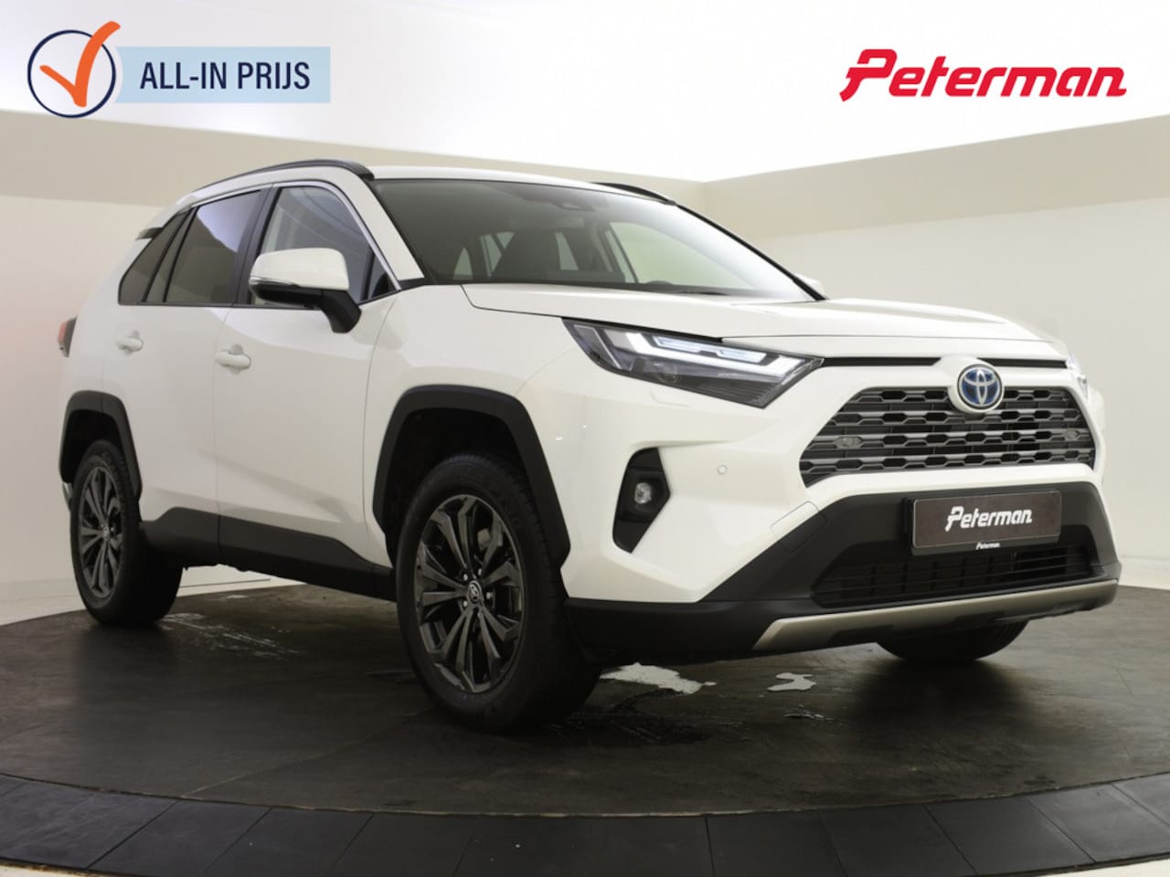 Toyota RAV4 - 2.5 Hybrid Executive | JBL | Memory Seat | Trekhaak - AutoWereld.nl