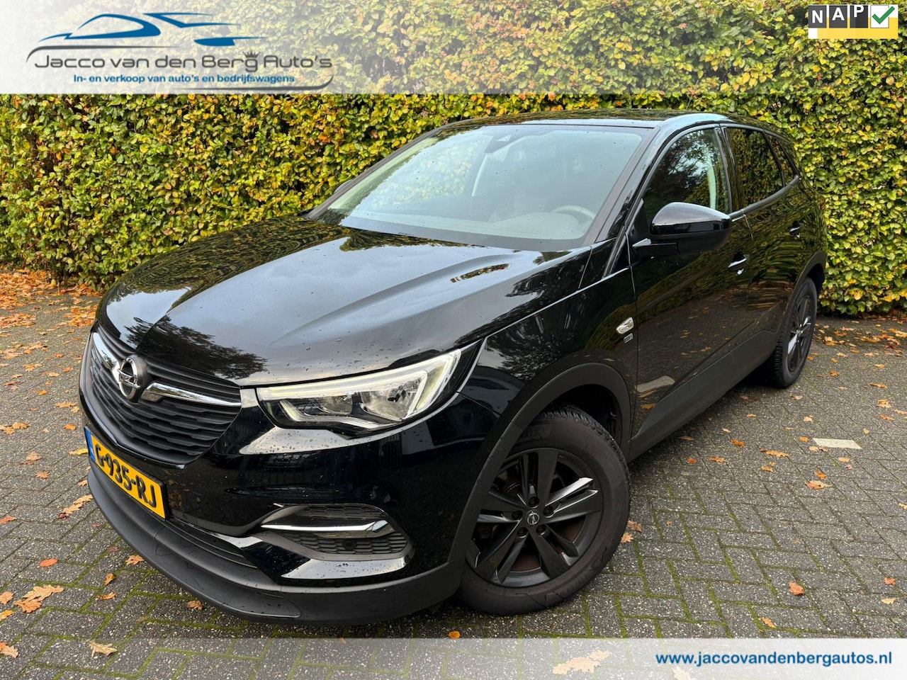 Opel Grandland X - 1.2 Turbo 120 Jaar Edition I Automaat - AutoWereld.nl