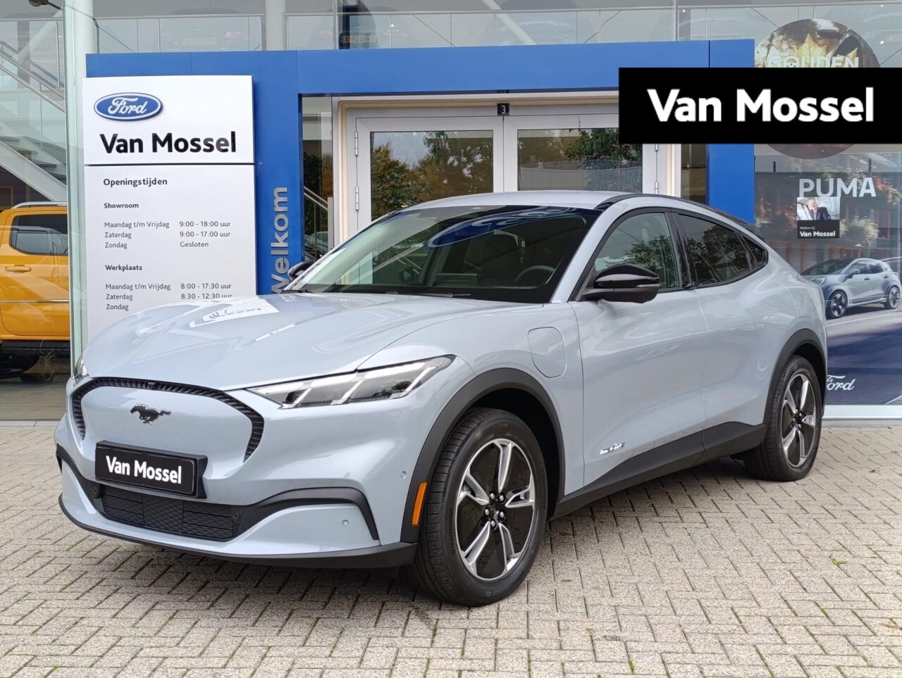 Ford Mustang Mach-E - Standard RWD 75 kWh | Adaptieve Cruise Control | Stoel/stuur voorruitverwarming | B&O Prem - AutoWereld.nl