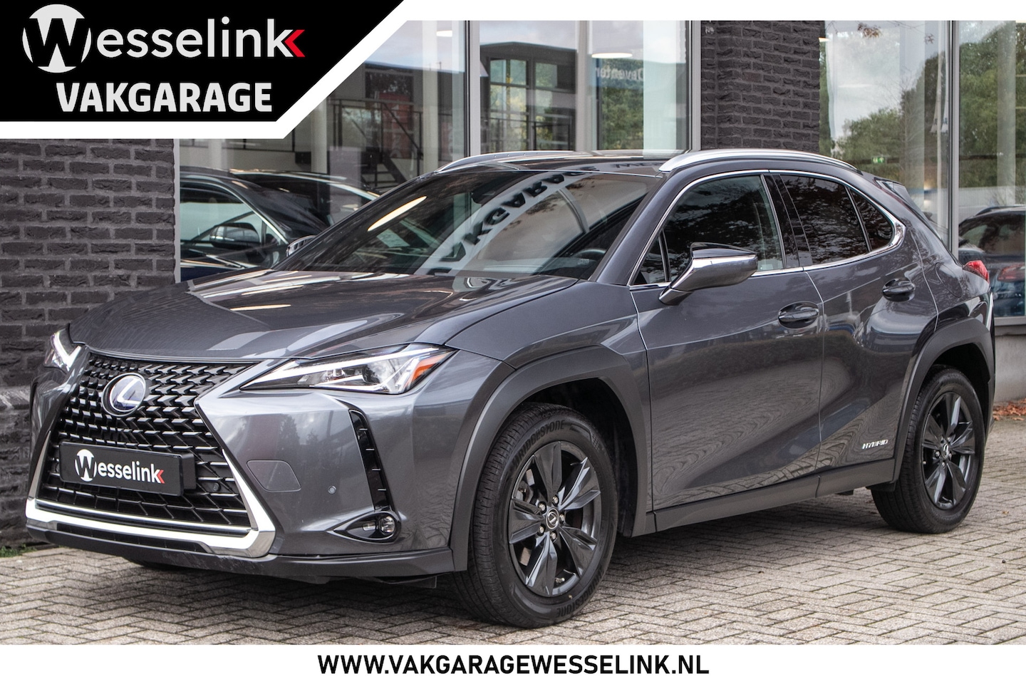 Lexus UX - 250h Executive Line - leder | HUD - AutoWereld.nl