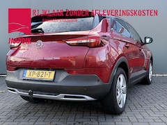 Opel Grandland X - BWJ 2019 1.2 Turbo 130 PK Business Executive NIEUW BINNEN