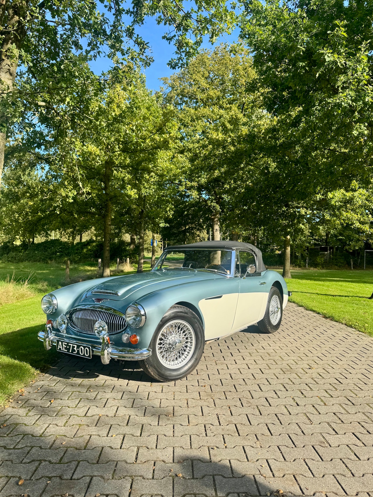 Austin Healey - 3000 MK||| - AutoWereld.nl