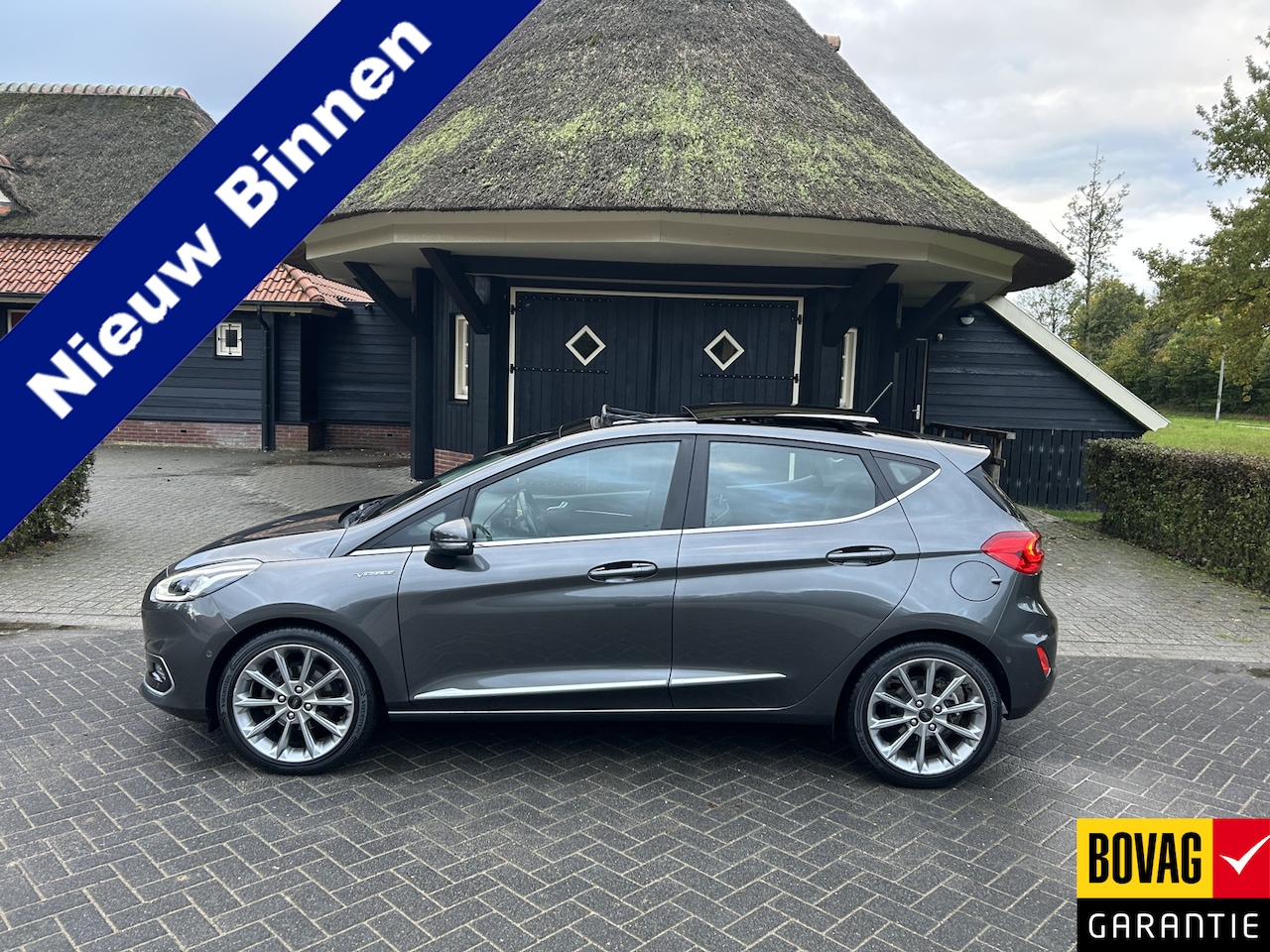 Ford Fiesta - 1.0 EcoBoost Vignale Pano Voll - AutoWereld.nl
