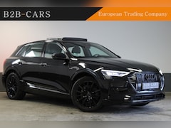 Audi e-tron - e-tron 55 Quattro 95 kWh S-line - Panoramadak - LED
