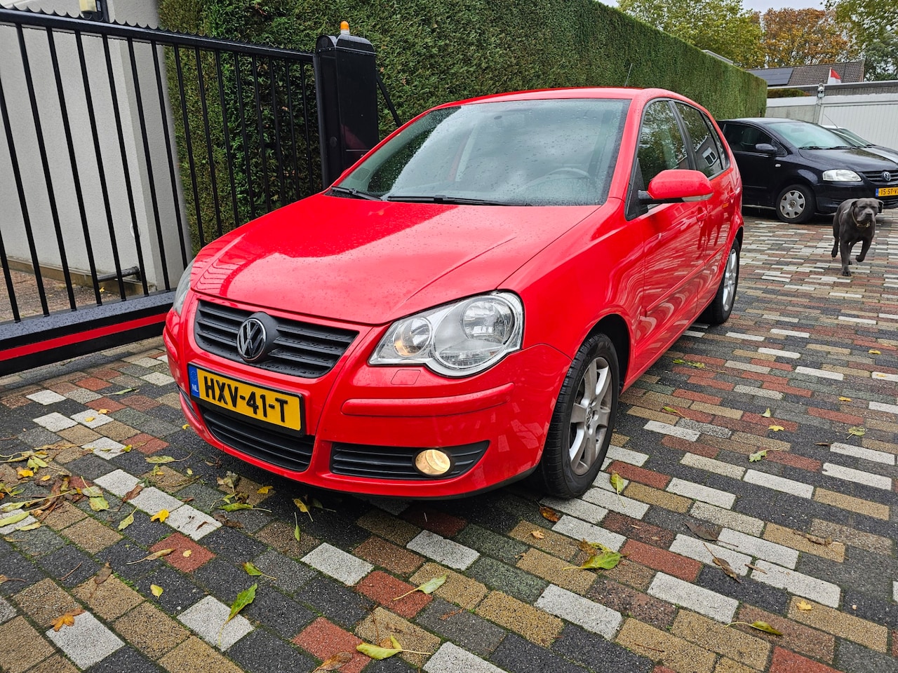 Volkswagen Polo - 1.2 Easyline 2009 Airco 5 Drs - AutoWereld.nl