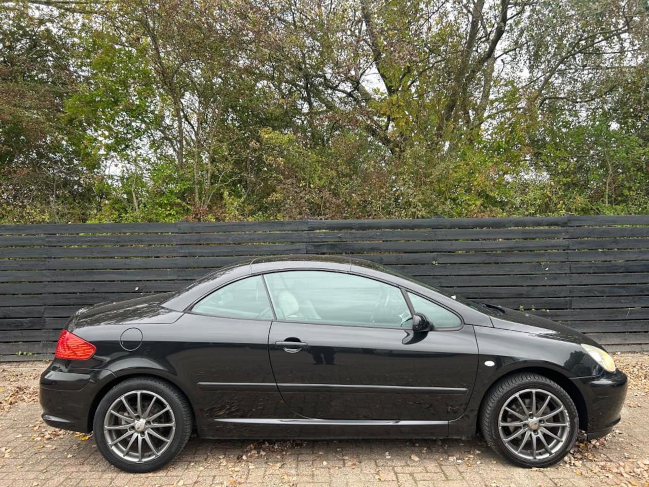Peugeot 307 CC - 2.0-16V 2.0-16V - AutoWereld.nl