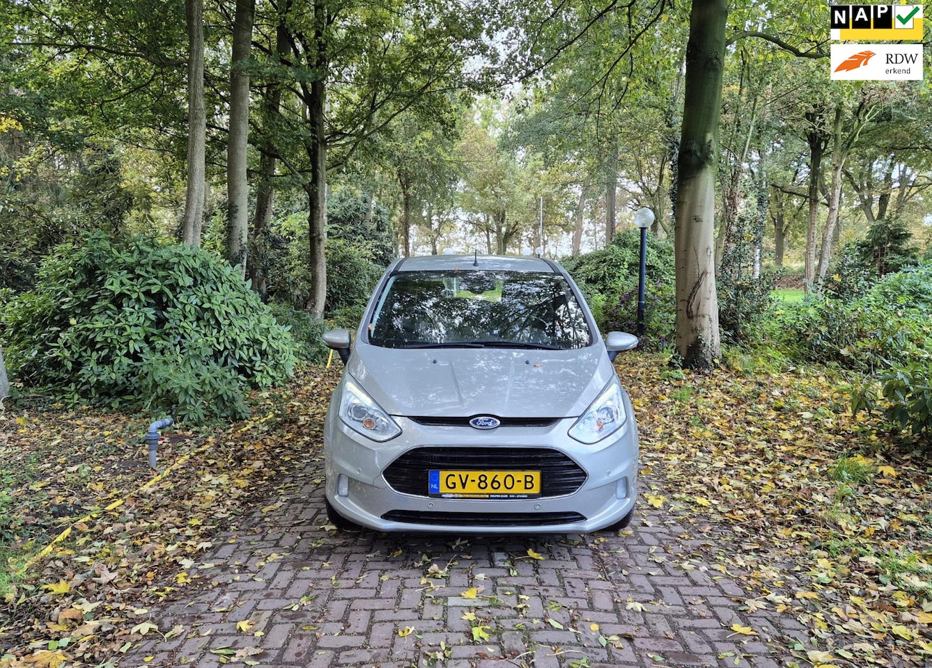 Ford B-Max - 1.0 EcoBoost Titanium 1.0 EcoBoost Titanium - AutoWereld.nl