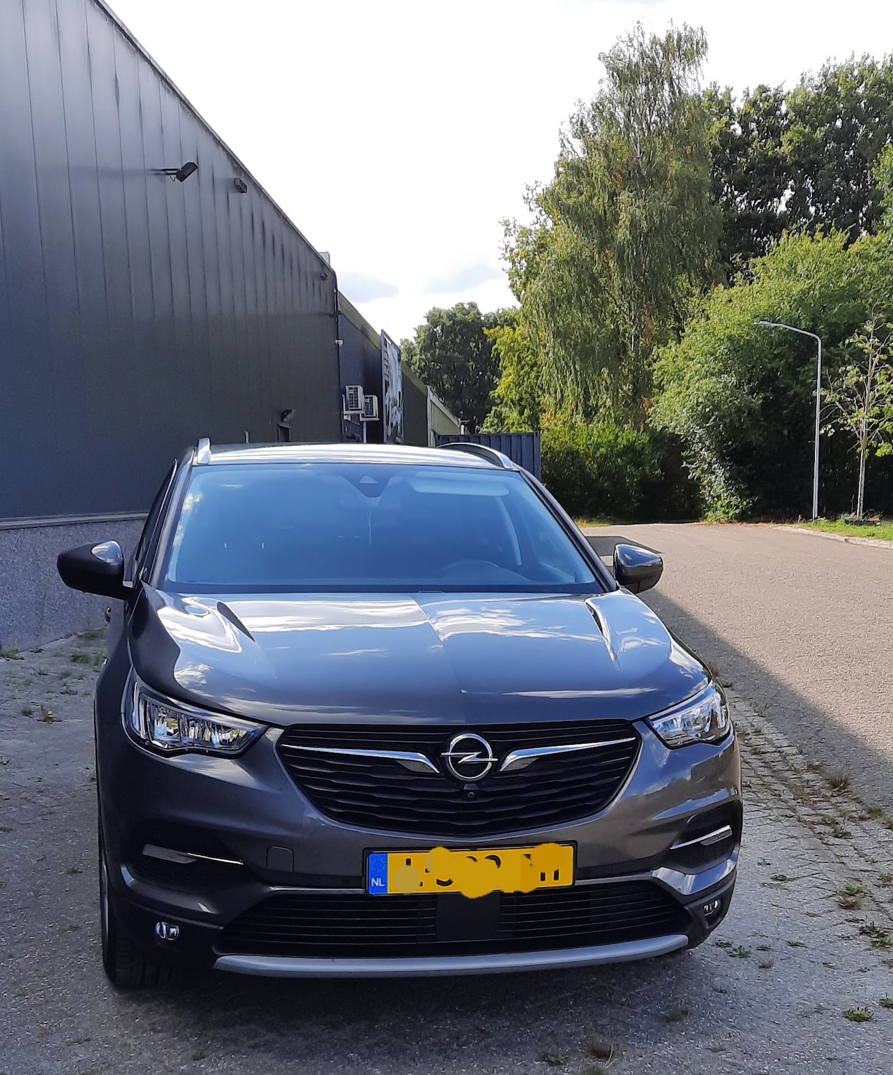 Opel Grandland X - 1.2 Turbo Innovation Eccotex  18 innsh velgen+trekhaak - AutoWereld.nl