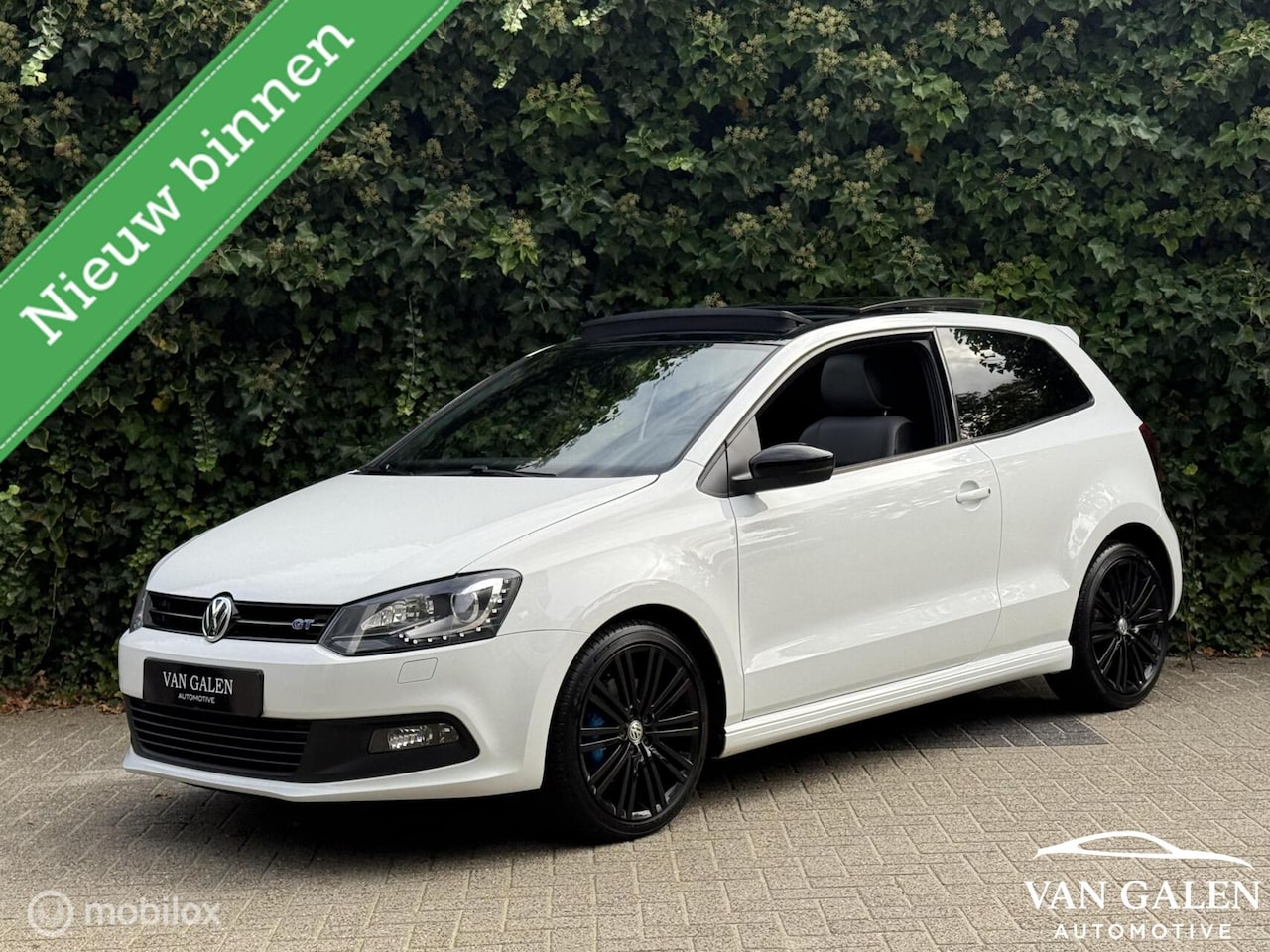 Volkswagen Polo - GT 1.4 TSI BlueGT 150Pk Clima|Pano|Vol optie - AutoWereld.nl