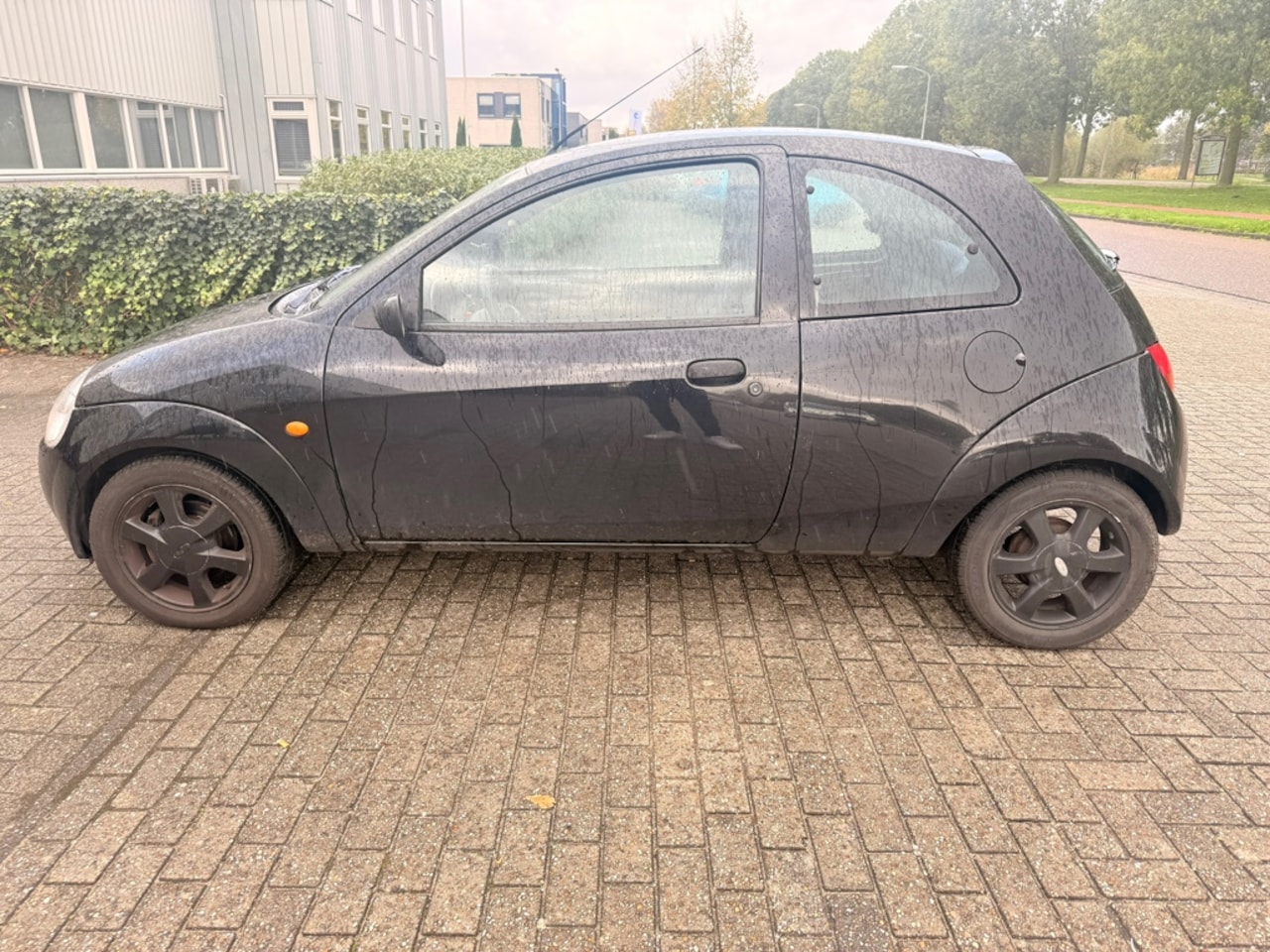Ford Ka - 1.3 Trend 1.3 Trend - AutoWereld.nl