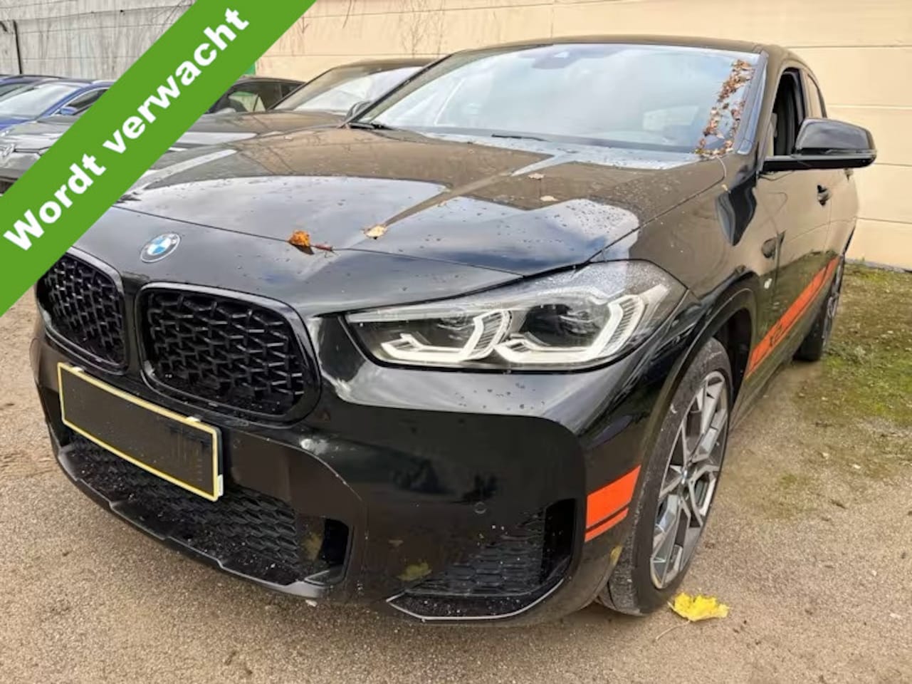 BMW X2 - sDrive20i High Executive M Sport Mesh Edition Panoramadak 19 Inch M Sportzetels DAB Carpla - AutoWereld.nl