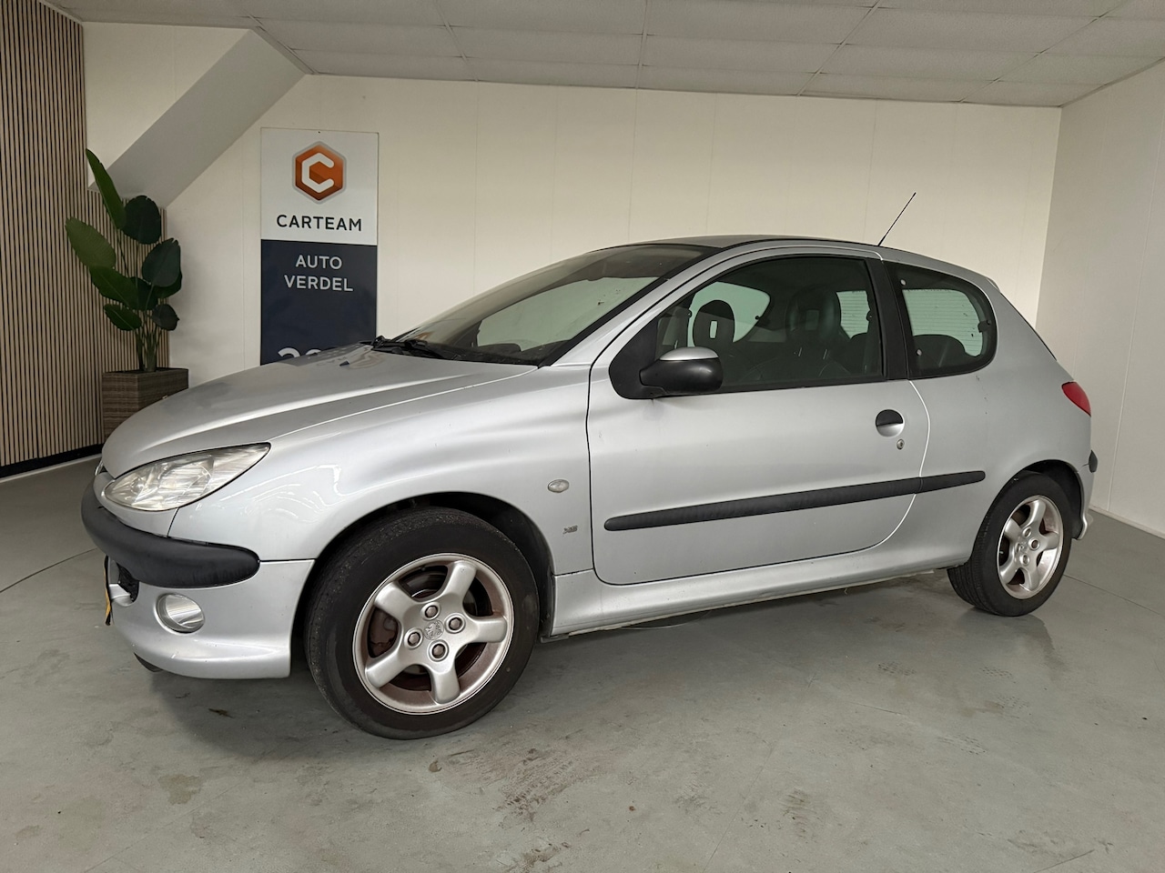 Peugeot 206 - 1.6-16V XS Airco, Lederen bekleding, LMV - AutoWereld.nl
