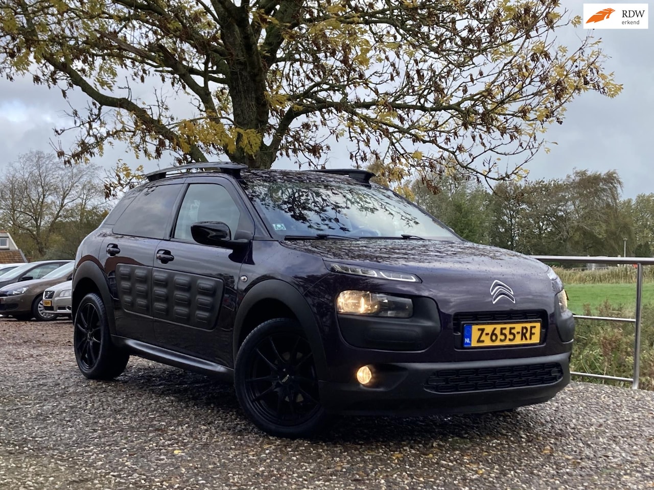 Citroën C4 Cactus - 1.2 Business Plus | Panodak + Navi + Clima + Cruise nu €5.975,-!! - AutoWereld.nl